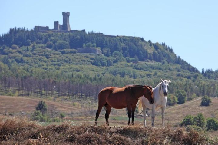 Casa Bandino Lägenhet Campiglia dʼOrcia Exteriör bild
