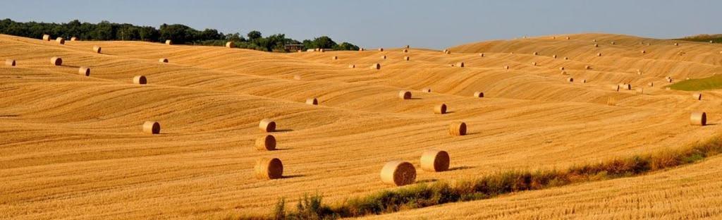 Casa Bandino Lägenhet Campiglia dʼOrcia Exteriör bild